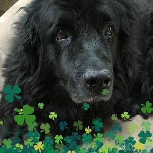 Meet your Posher, Eileen